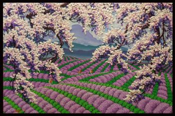 Lavender Field and Cherry Blossom